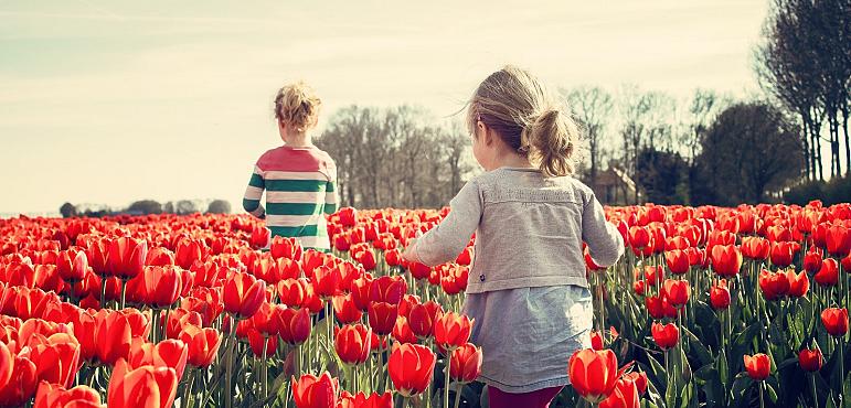 Subsidie voor toerisme